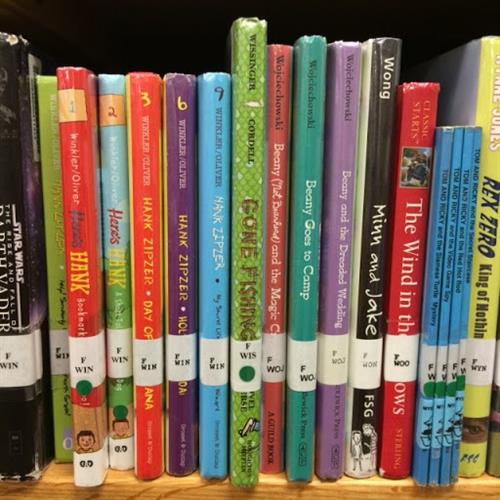 photo for fictional books and their spine labels 